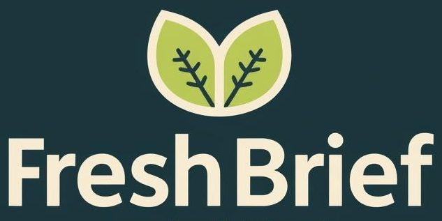 Fresh Brief